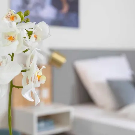 Apartment Nino-boardinghouse 25 Nordhorn